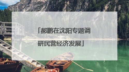 郝鹏在沈阳专题调研民营经济发展