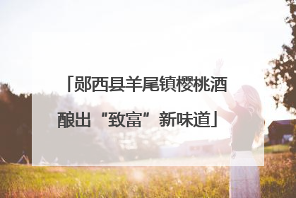 郧西县羊尾镇樱桃酒酿出“致富”新味道