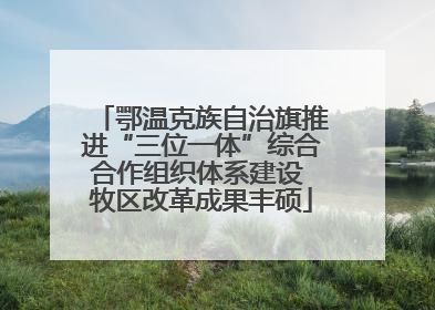 鄂温克族自治旗推进“三位一体”综合合作组织体系建设 牧区改革成果丰硕