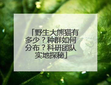 野生大熊猫有多少？种群如何分布？科研团队实地探秘