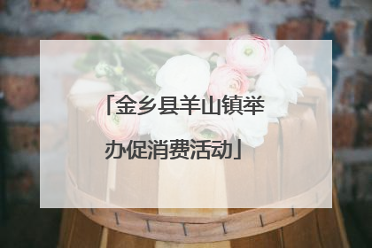 金乡县羊山镇举办促消费活动