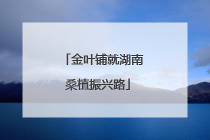 金叶铺就湖南桑植振兴路