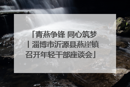 青燕争锋 同心筑梦丨淄博市沂源县燕崖镇召开年轻干部座谈会