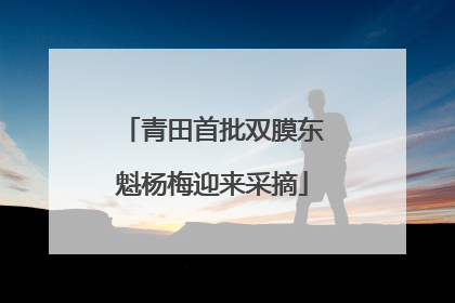 青田首批双膜东魁杨梅迎来采摘