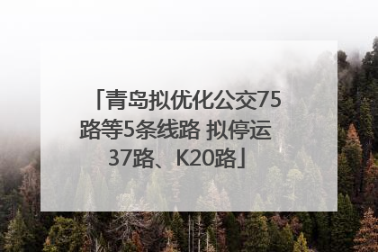 青岛拟优化公交75路等5条线路 拟停运37路、K20路