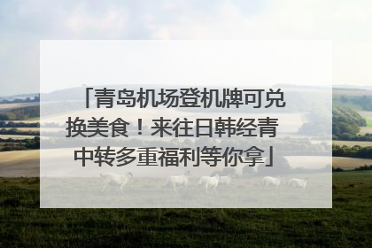青岛机场登机牌可兑换美食！来往日韩经青中转多重福利等你拿