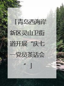 青岛西海岸新区灵山卫街道开展“庆七一党员茶话会”
