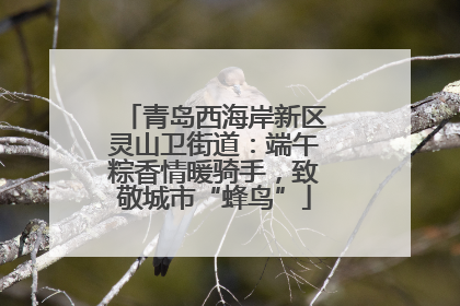 青岛西海岸新区灵山卫街道：端午粽香情暖骑手，致敬城市“蜂鸟”
