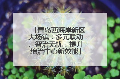 青岛西海岸新区大场镇：多元联动、智治无忧，提升综治中心新效能