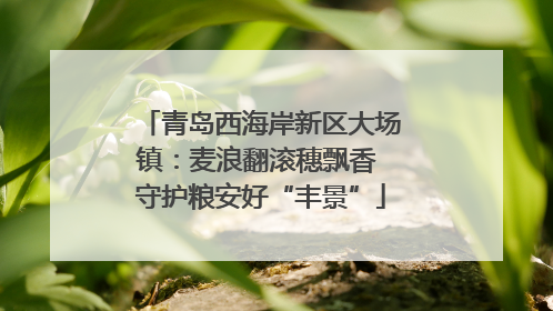 青岛西海岸新区大场镇：麦浪翻滚穗飘香 守护粮安好“丰景”