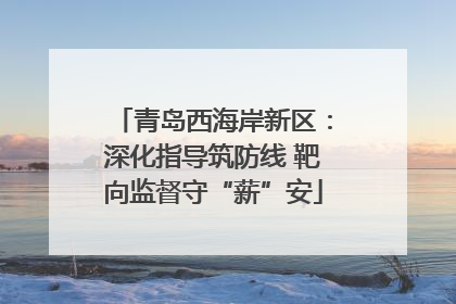 青岛西海岸新区：深化指导筑防线 靶向监督守“薪”安