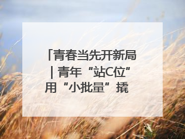 青春当先开新局｜青年“站C位” 用“小批量”撬动产业大变革