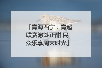 青海西宁：青超联赛激战正酣 民众乐享周末时光