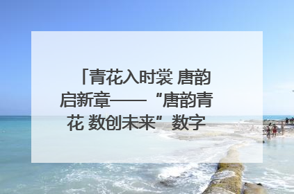 青花入时裳 唐韵启新章——“唐韵青花 数创未来”数字文创设计大赛启幕