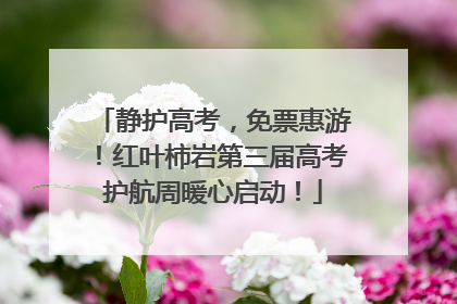 静护高考，免票惠游！红叶柿岩第三届高考护航周暖心启动！