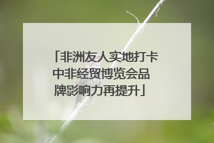 非洲友人实地打卡 中非经贸博览会品牌影响力再提升