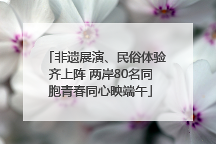 非遗展演、民俗体验齐上阵 两岸80名同胞青春同心映端午