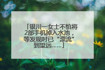 银川一女士不慎将2部手机掉入水池，等发现时已“漂流”到望远……