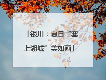 银川：夏日“塞上湖城”美如画