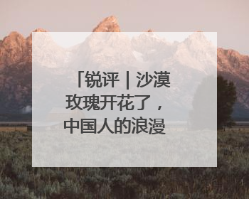 锐评｜沙漠玫瑰开花了，中国人的浪漫叫“担当”