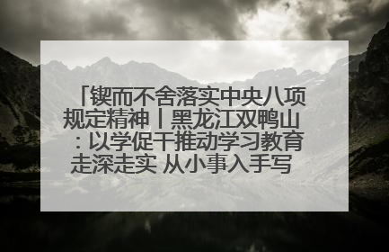 锲而不舍落实中央八项规定精神丨黑龙江双鸭山：以学促干推动学习教育走深走实 从小事入手写好“民生答卷”