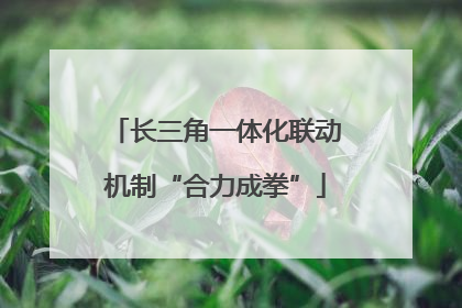 长三角一体化联动机制“合力成拳”