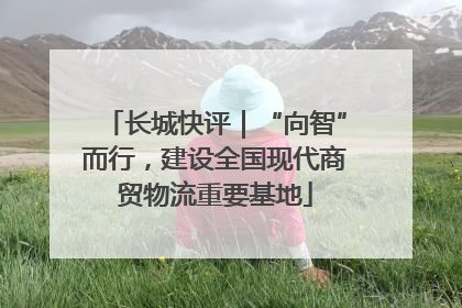 长城快评｜“向智”而行，建设全国现代商贸物流重要基地