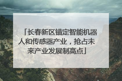 长春新区锚定智能机器人和传感器产业，抢占未来产业发展制高点