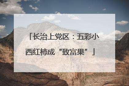 长治上党区：五彩小西红柿成“致富果”