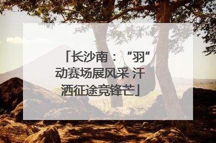长沙南：“羽”动赛场展风采 汗洒征途竞锋芒
