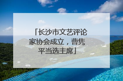 长沙市文艺评论家协会成立，曹隽平当选主席