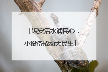 镇安活水润民心：小设备撬动大民生