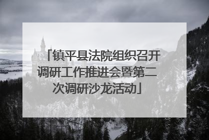 镇平县法院组织召开调研工作推进会暨第二次调研沙龙活动