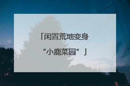 闲置荒地变身“小鹿菜园”