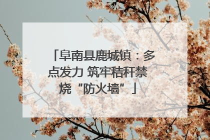 阜南县鹿城镇：多点发力 筑牢秸秆禁烧“防火墙”