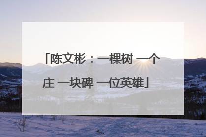 陈文彬：一棵树 一个庄 一块碑 一位英雄