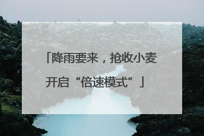 降雨要来，抢收小麦开启“倍速模式”
