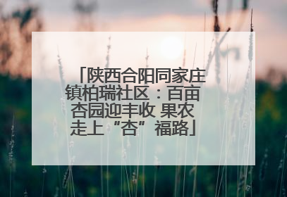 陕西合阳同家庄镇柏瑞社区：百亩杏园迎丰收 果农走上“杏”福路