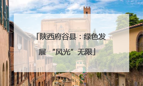 陕西府谷县：绿色发展 “风光”无限