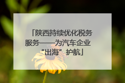 陕西持续优化税务服务——为汽车企业“出海”护航