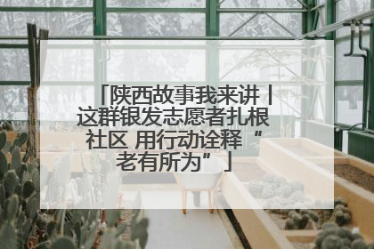 陕西故事我来讲丨这群银发志愿者扎根社区 用行动诠释“老有所为”