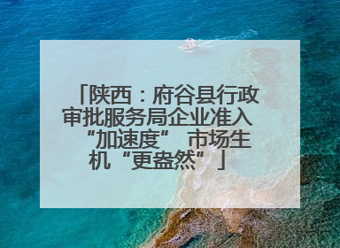 陕西：府谷县行政审批服务局企业准入“加速度” 市场生机“更盎然”