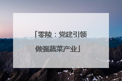 零陵：党建引领 做强蔬菜产业