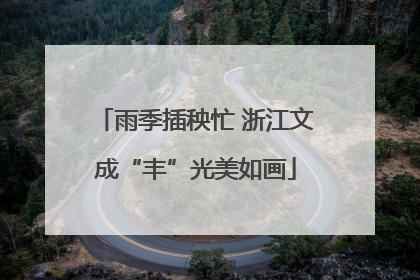 雨季插秧忙 浙江文成“丰”光美如画