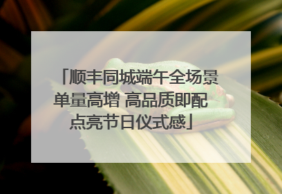 顺丰同城端午全场景单量高增 高品质即配点亮节日仪式感