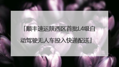 顺丰速运陕西区首批L4级自动驾驶无人车投入快递配送