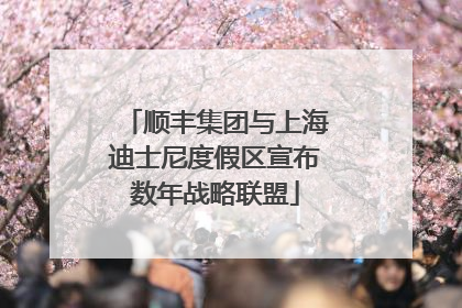 顺丰集团与上海迪士尼度假区宣布数年战略联盟