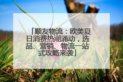 顺友物流：欧美夏日消费热潮涌动，选品、营销、物流一站式攻略来袭