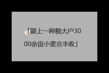 颍上一种粮大户3000余亩小麦喜丰收
