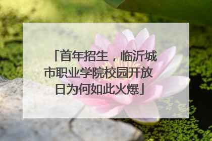 首年招生，临沂城市职业学院校园开放日为何如此火爆
